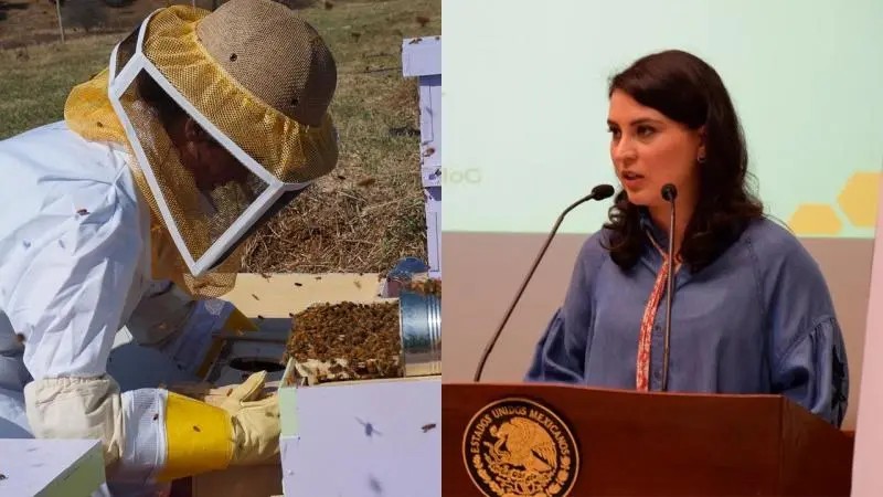 Julieta Mejía buscará la protección de las abejas y el fomento apícola