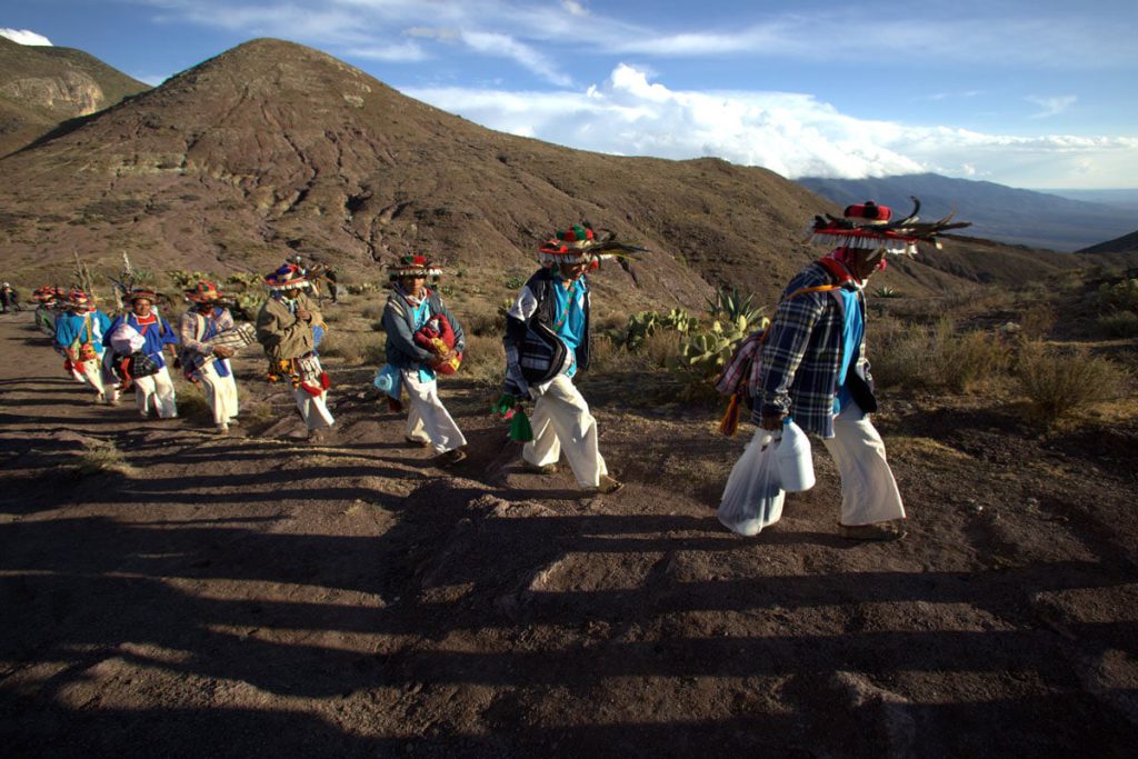 peregrinación a wirikuta el viaje sagrado desde nayarit