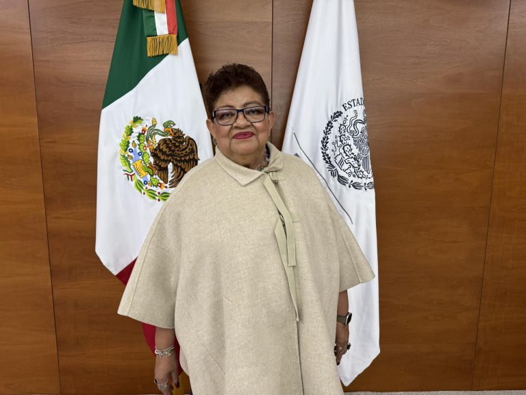 ernestina godoy fgr