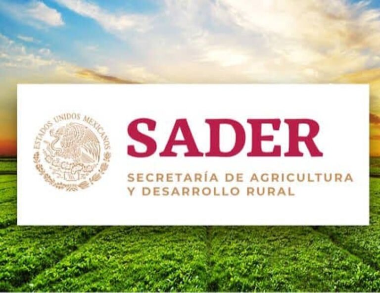 SADER Jalisco activa segunda fase de trampeo contra gusano barrenador